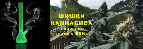 ПСИЛОЦИБИНОВЫЕ ГРИБЫ Алзамай