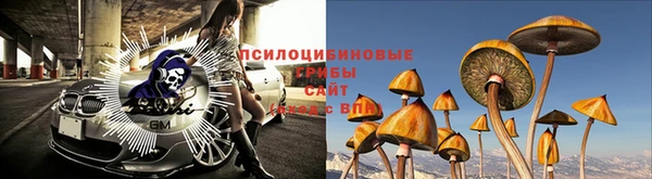 ПСИЛОЦИБИНОВЫЕ ГРИБЫ Алзамай