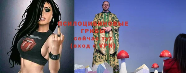 винт Алексеевка