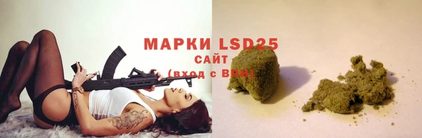 ПСИЛОЦИБИНОВЫЕ ГРИБЫ Алзамай