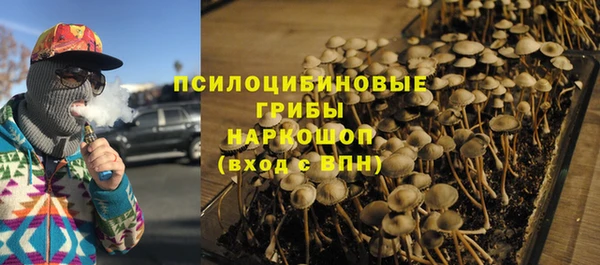 ПСИЛОЦИБИНОВЫЕ ГРИБЫ Алзамай