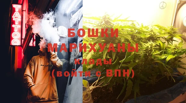 ПСИЛОЦИБИНОВЫЕ ГРИБЫ Алзамай