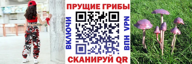 Галлюциногенные грибы Magic Shrooms  где можно купить наркотик  Дыгулыбгей 