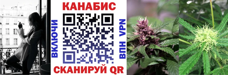Каннабис индика Дыгулыбгей